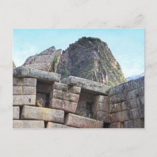 Chinchilla in Machu Picchu, Peru Briefkaart