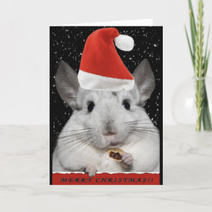 chinchilla-Kaart Feestdagen Kaart