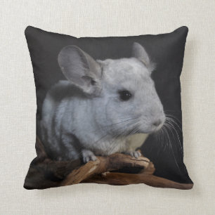 Chinchilla Kussen