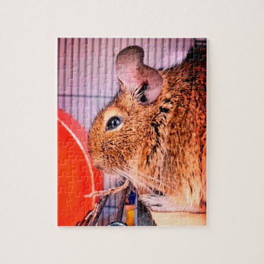 Chinchilla Legpuzzel (Verticaal)