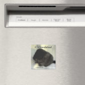 Chinchilla Love Magnet (Insitu (Vaatwasser))