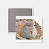 chinchilla magneet (Voorkant / Achterkant)