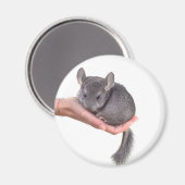 chinchilla magneet (Voorkant / Achterkant)
