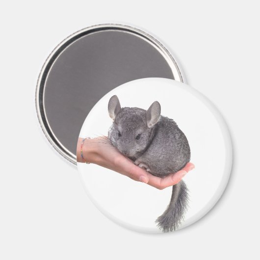 chinchilla magneet (Voorkant / Achterkant)