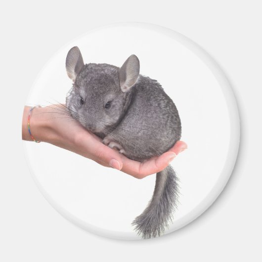 chinchilla magneet (Voorkant)