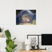 Chinchilla mama vangt een paar Zzzzz's Poster (Thuiskantoor)