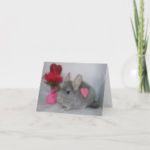 Chinchilla met hart op zijkaart van de Valentijn