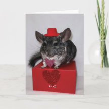 Chinchilla met rode bovenste hoed en hartkaart
