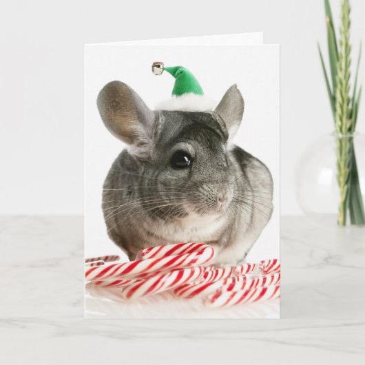 Chinchilla met snoeprietjes feestdagen kaart (Voorkant)