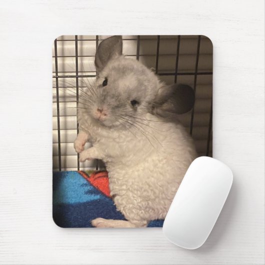 chinchilla muismat (Met muis)