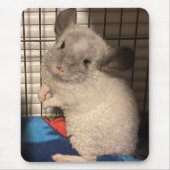 chinchilla muismat (Voorkant)