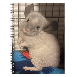 chinchilla notitieboek
