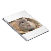 chinchilla notitieboek (Rechterzijde)