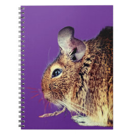 Chinchilla Notitieboek