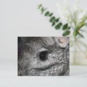 chinchilla oog dicht briefkaart (Staand voorkant)