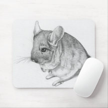 Chinchilla op Muismat