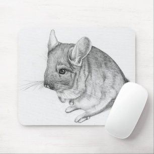 Chinchilla op Muismat
