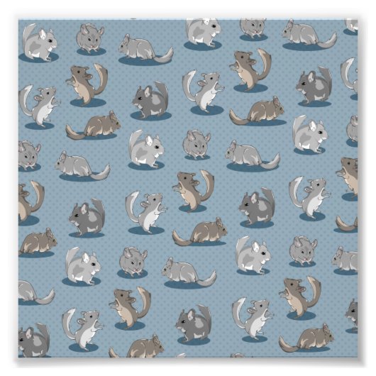 Chinchilla Pattern Foto Afdruk (Voorkant)