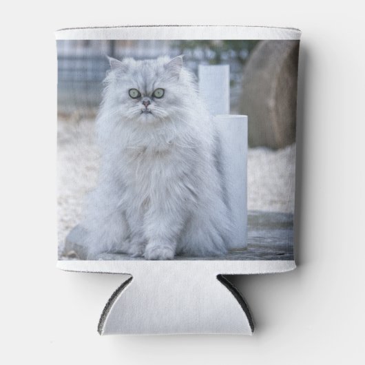 chinchilla persiaan blikjeskoeler (Voorkant)