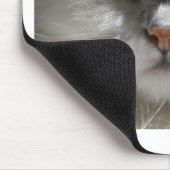 Chinchilla Persian Cat Muismat (Hoek)