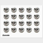 Chinchilla Persian Cat Ronde Sticker (Vel)