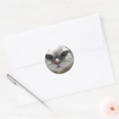 Chinchilla Persian Cat Ronde Sticker (Envelop)