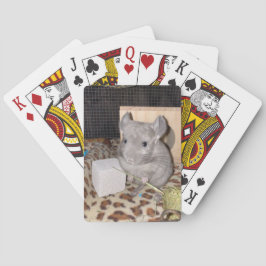 chinchilla pokerkaarten