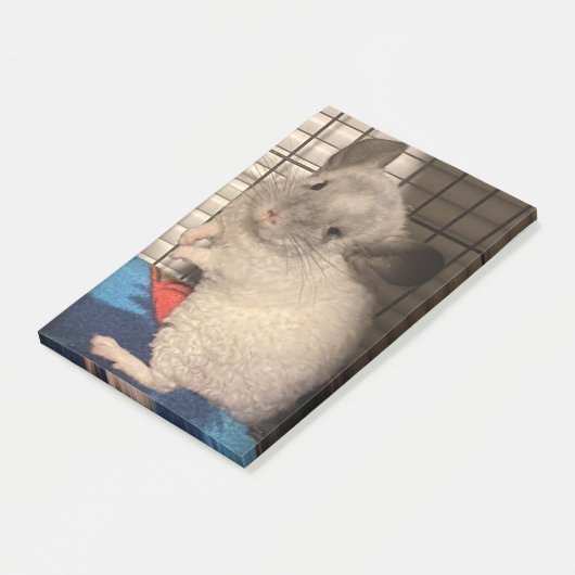 Chinchilla Post-it® Notes (Schuin)