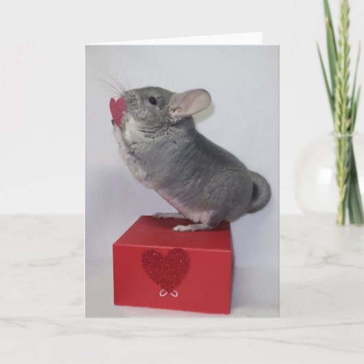 Chinchilla reikend naar roze hart kaart (Voorkant)