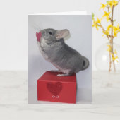 Chinchilla reikt naar roze hart kaart (Gele Bloem)