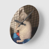 chinchilla ronde klok (Hoek)
