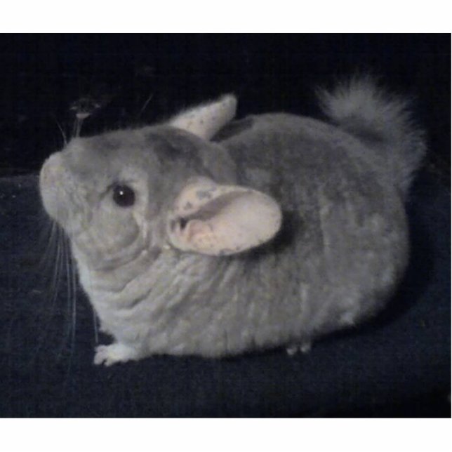 Chinchilla Shaped Sleutelhanger Fotobeeldje Sleutelhanger (Voorkant)