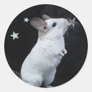 Chinchilla ster ronde sticker