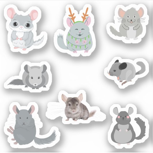 Chinchilla-Stickers Sticker (Voorkant)