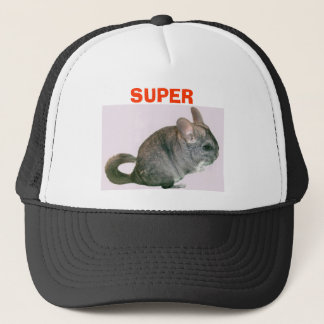 chinchilla trucker pet