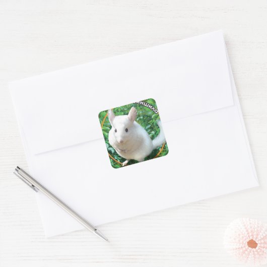 Chinchilla Vierkante Sticker (Envelop)