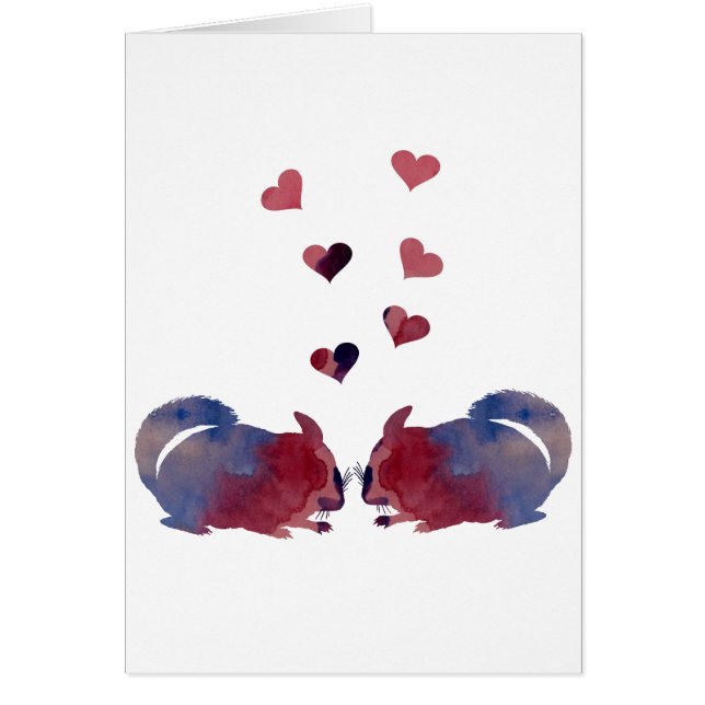 Chinchillas (Voorkant)