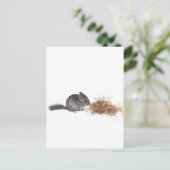 chinchillas briefkaart (Staand voorkant)