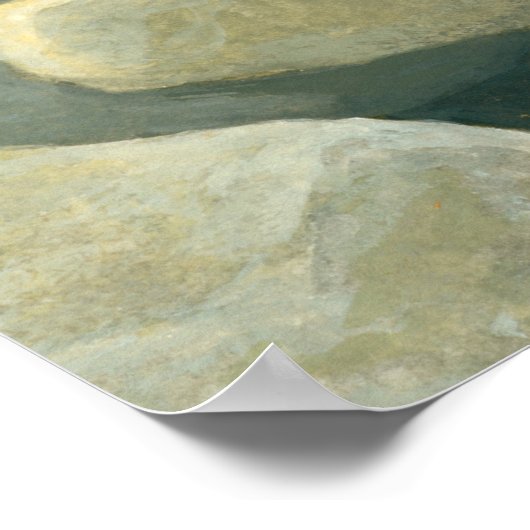 Chinchillas in de Wilde Poster (Hoek)