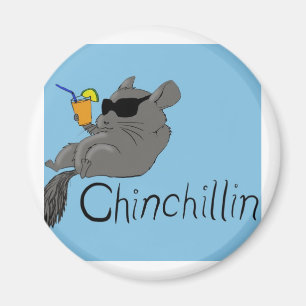 chinchilline magneet