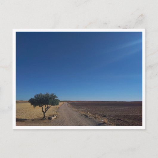 Chinchon (Spanje) Briefkaart (Voorkant)