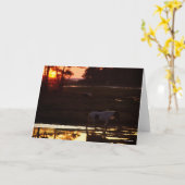 Chincoteague die op zonsondergang in water loopt kaart (Gele Bloem)