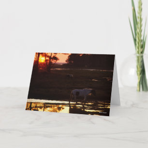 Chincoteague die op zonsondergang in water loopt kaart