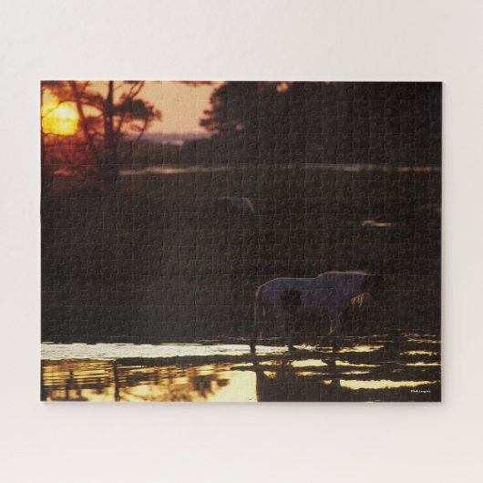 Chincoteague die op zonsondergang in water loopt legpuzzel (Horizontaal)