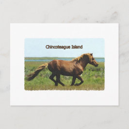 Chincoteague Island Briefkaart