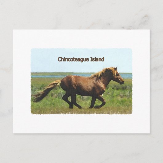 Chincoteague Island Briefkaart (Voorkant)
