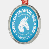 Chincoteague Island (pony) Metalen Ornament (Links)