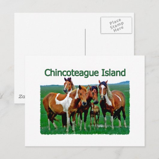 Chincoteague Island (pony's) Briefkaart (Voorkant / Achterkant)
