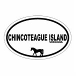 Chincoteague Island. Staand Fotobeeldje<br><div class="desc">Chincoteague Island Virginia.javascript:</div>