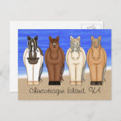Chincoteague Island VA pony's bij het Beach Horse Briefkaart (Voorkant / Achterkant)